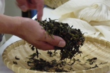 Tea being rolled in flat basket